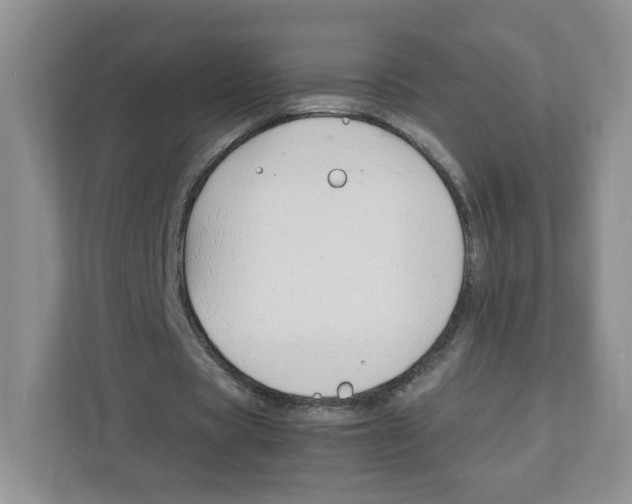 X0000111190529200907291206