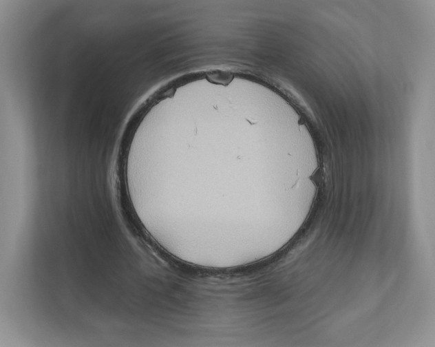 X0000111190532200907291206