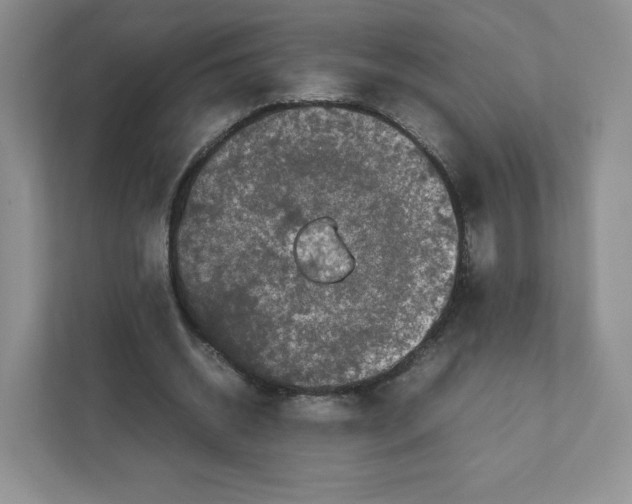 X0000111190534200907291206