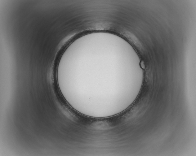X0000111190536200907291206