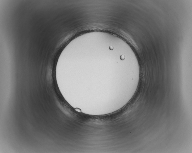 X0000111190538200907291206
