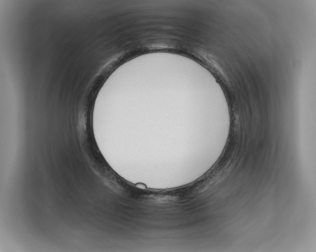X0000111190539200907291206