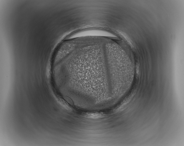 X0000111190540200907291206