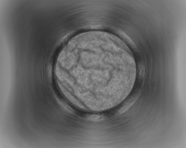 X0000111190542200907291206