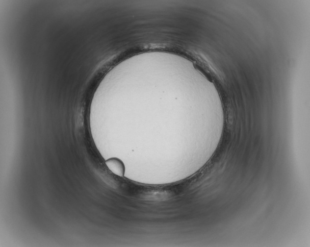 X0000111190543200907291206