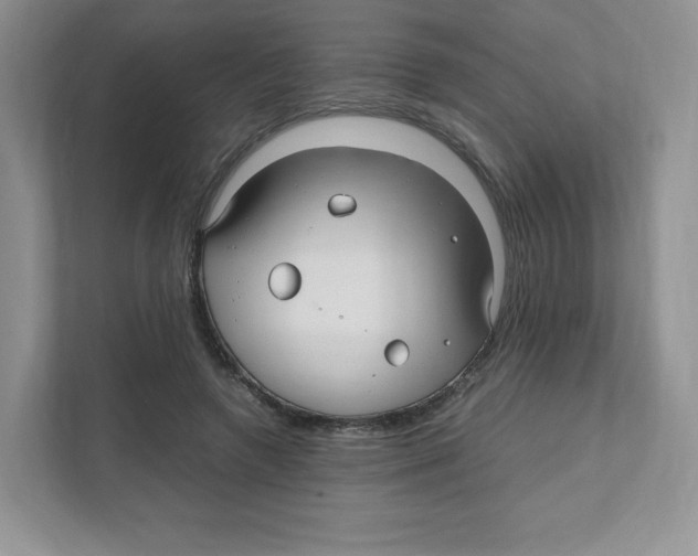 X0000111190546200907291206