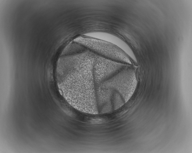 X0000111190547200907291206