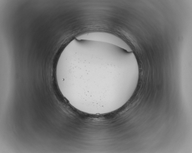 X0000111190548200907291206