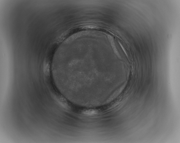 X0000111190551200907291206