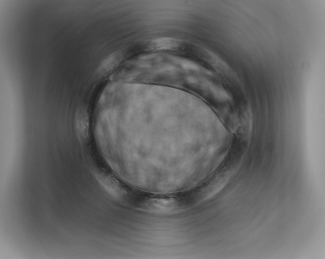 X0000111190552200907291206