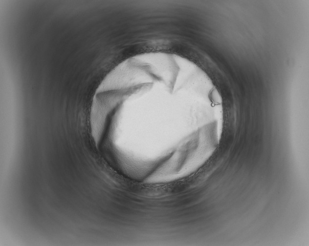 X0000111190553200907291206