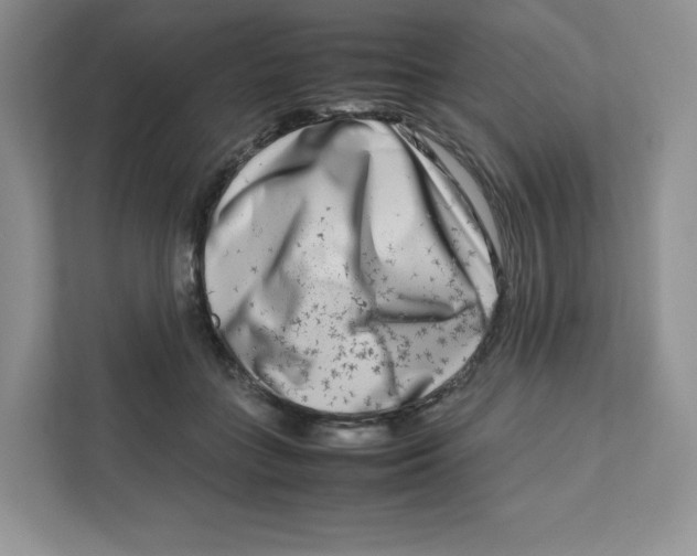 X0000111190555200907291206