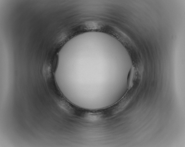 X0000111190556200907291206