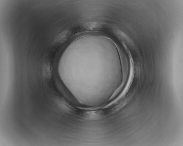 X0000111190558200907291206