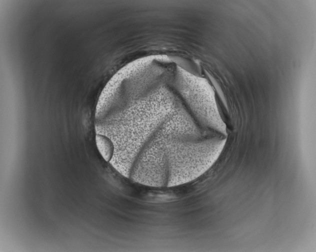 X0000111190559200907291206