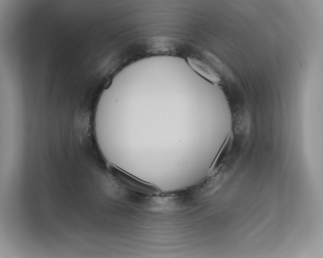 X0000111190560200907291206