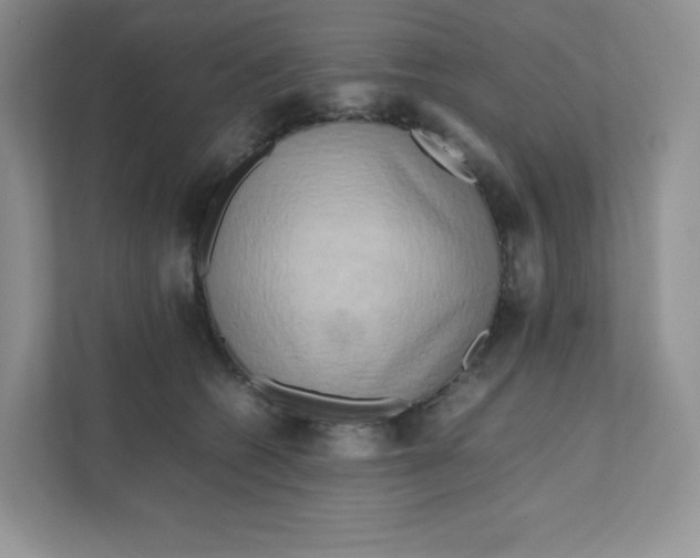X0000111190562200907291206