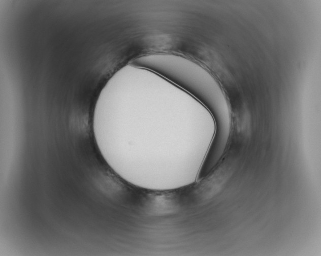 X0000111190564200907291206