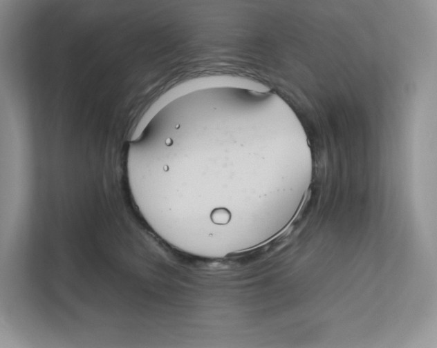 X0000111190566200907291206