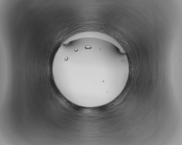X0000111190568200907291206