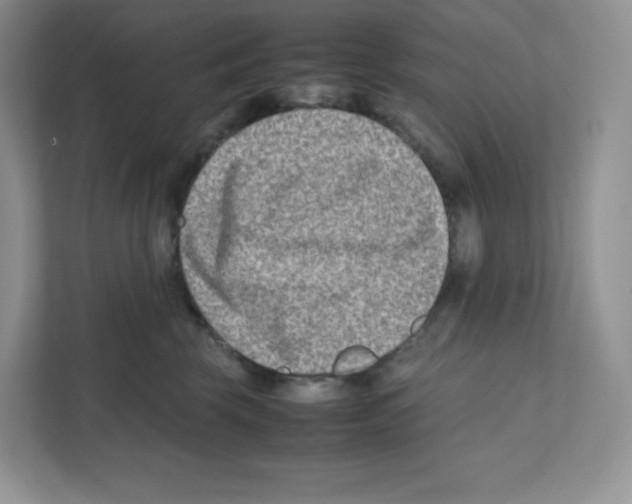 X0000111190569200907291206