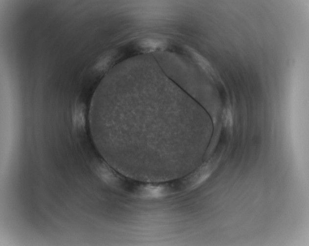 X0000111190570200907291206