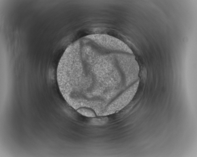 X0000111190571200907291206