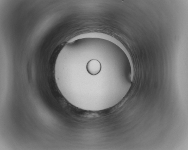 X0000111190572200907291206