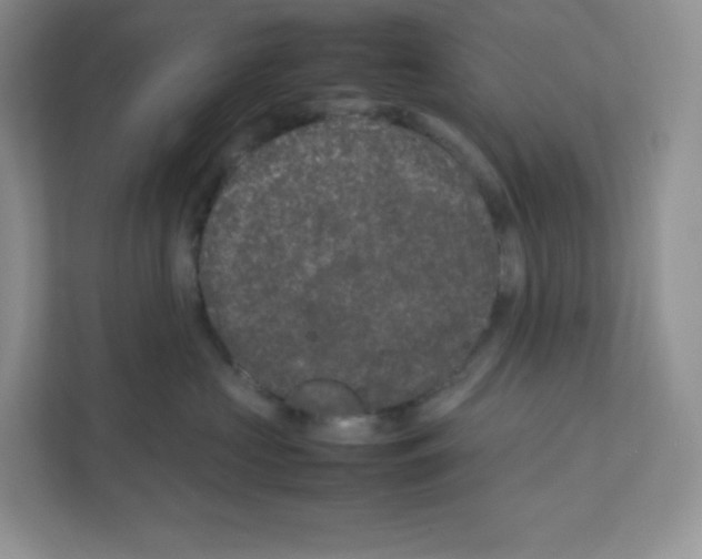 X0000111190573200907291206