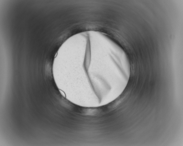 X0000111190575200907291206