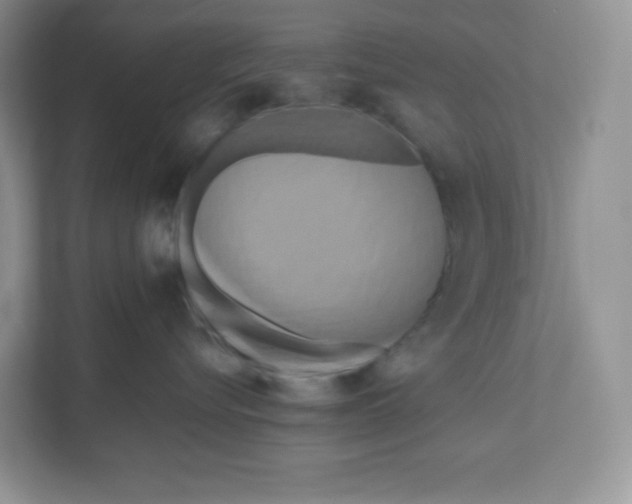 X0000111190576200907291206