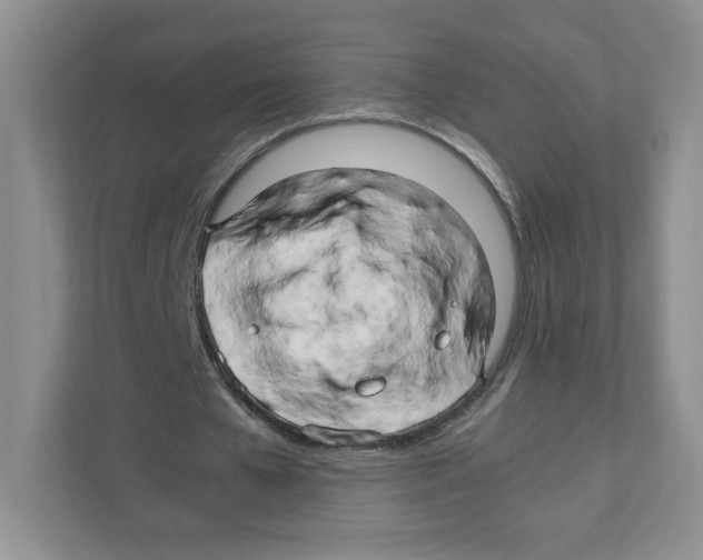X0000111190577200907291206