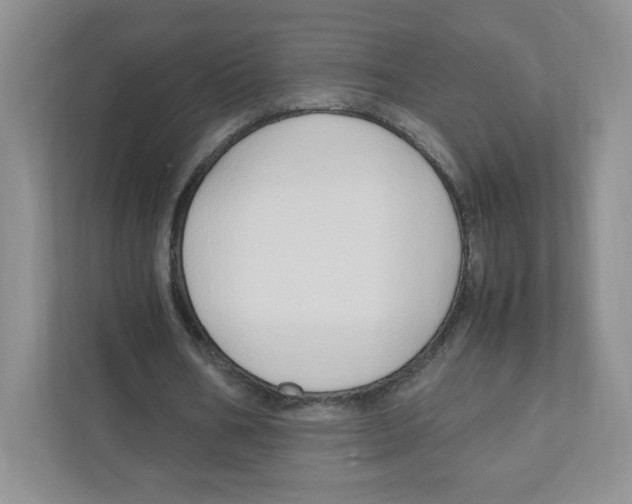 X0000111190578200907291206
