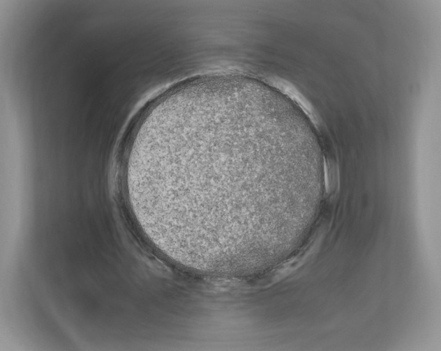 X0000111190579200907291206