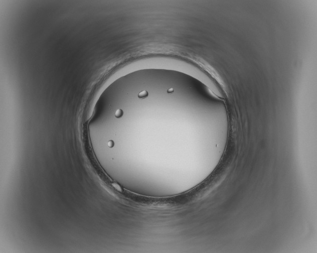 X0000111190581200907291206
