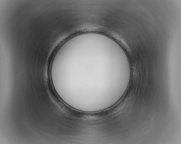 X0000111190582200907291206