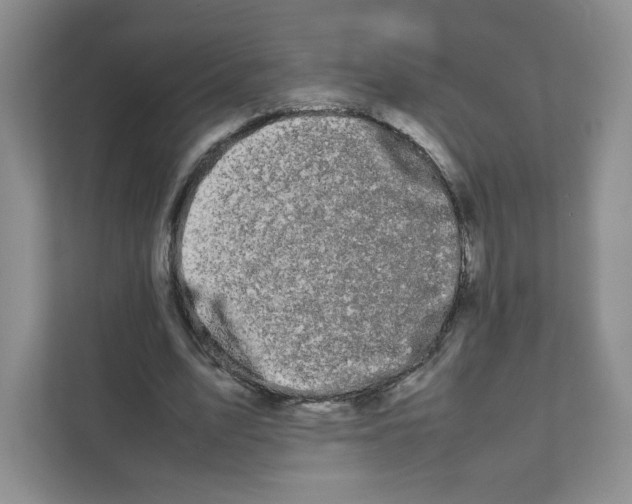 X0000111190583200907291205