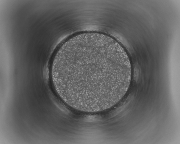 X0000111190584200907291205