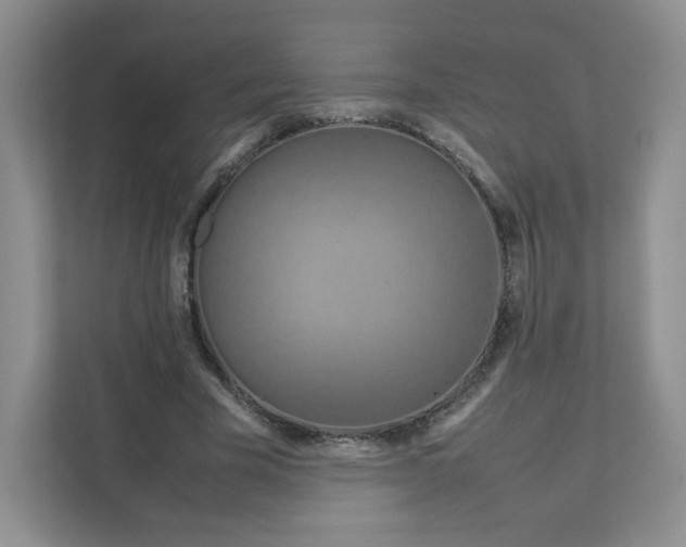X0000111190585200907291205