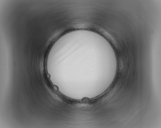 X0000111190586200907291205