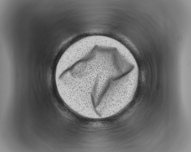 X0000111190588200907291205