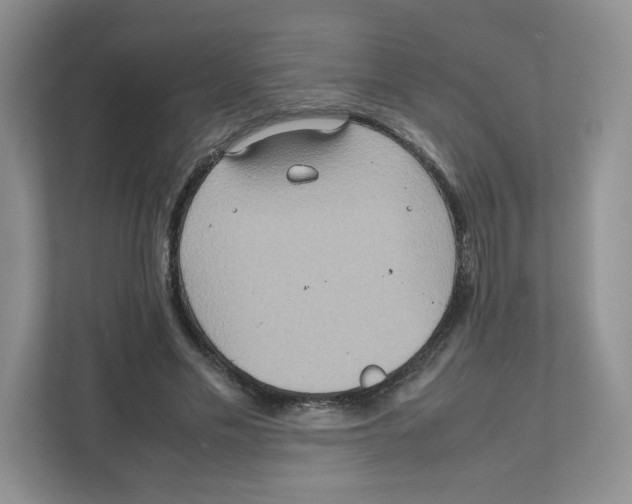 X0000111190589200907291205