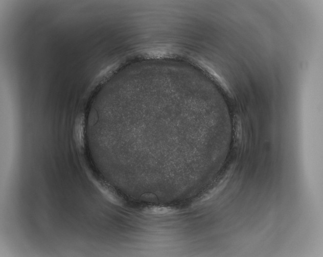 X0000111190590200907291205