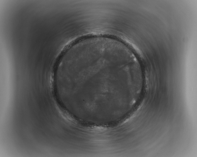 X0000111190592200907291205
