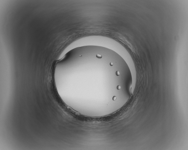 X0000111190593200907291205