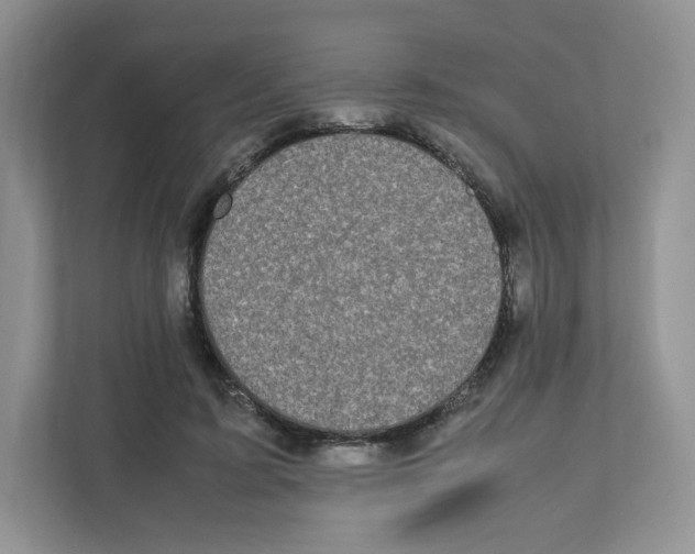 X0000111190595200907291205