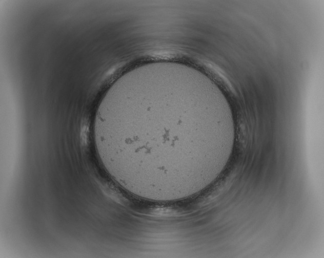 X0000111190596200907291205