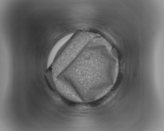X0000111190597200907291205