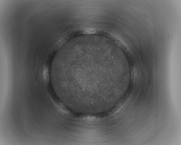X0000111190598200907291205