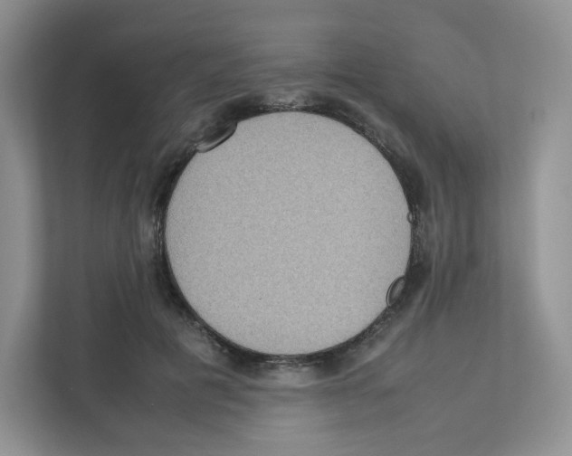 X0000111190601200907291205